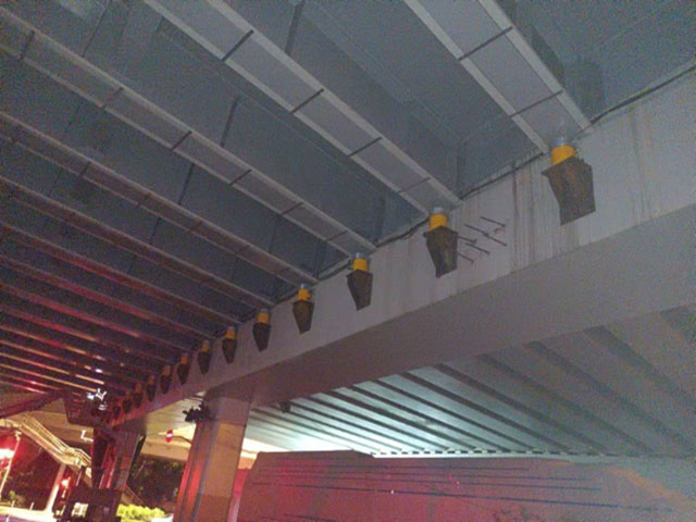 1735281566.jpg image011.jpg